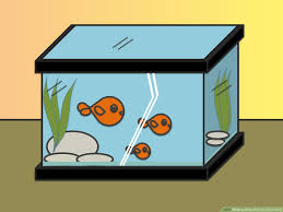 Aquarium