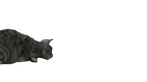 GIF 1