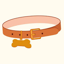Pet Collar