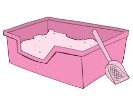 Litter Box